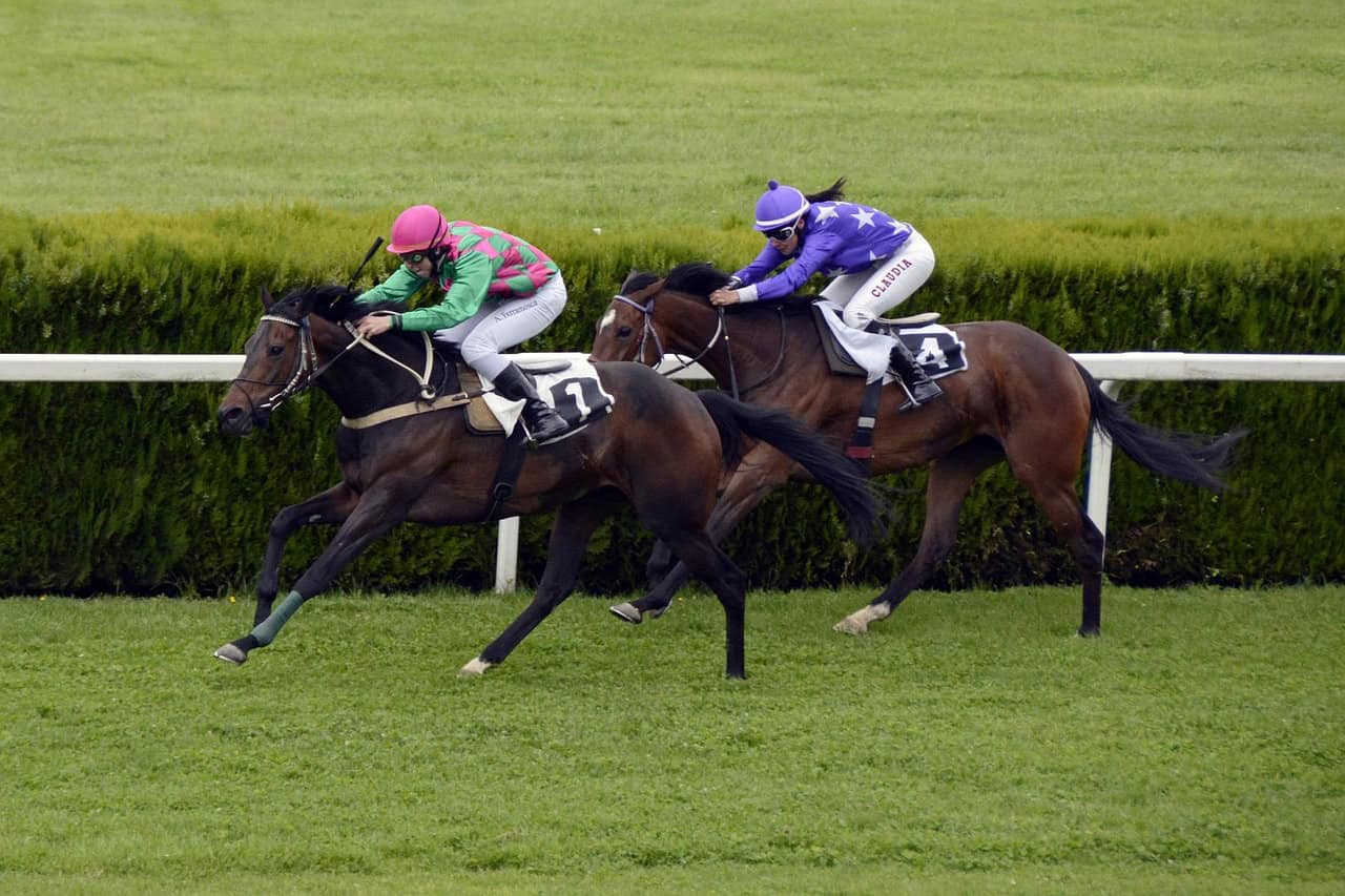 Two year old races image of 2 race horses racing